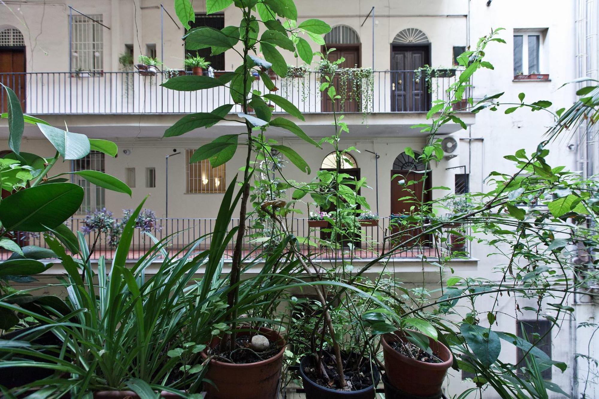 Gianicolo Holiday House Rome Exterior photo